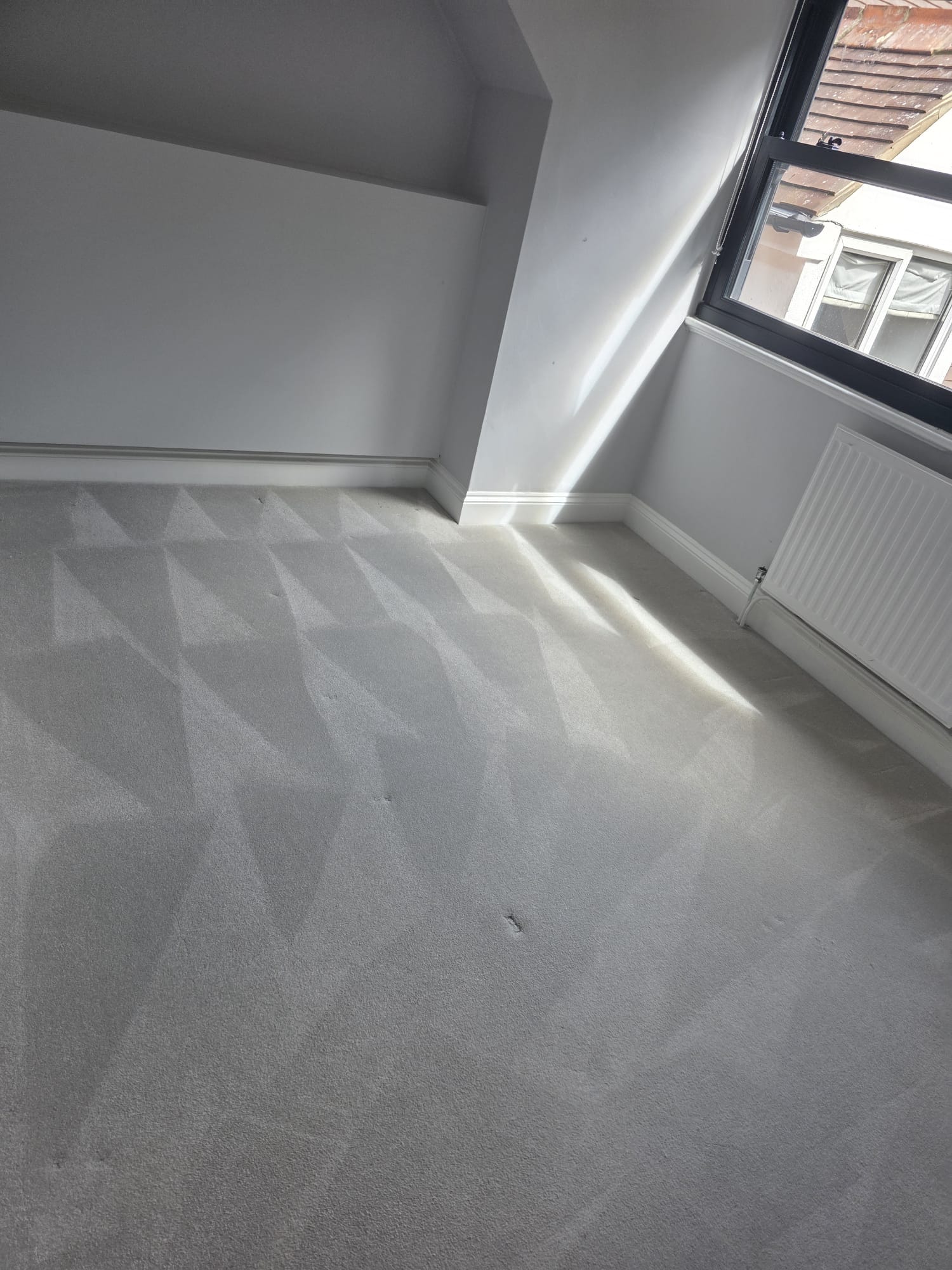 Bedroom carpet professionally cleaned with crisp extraction lines in bright room