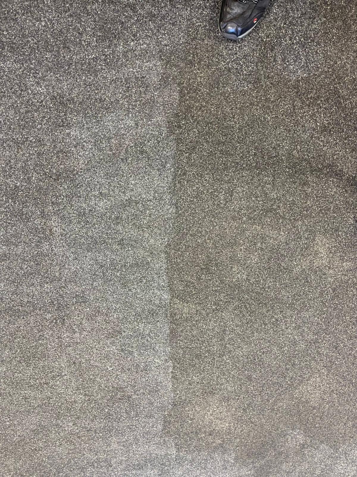 Half-cleaned carpet showing dramatic before and after difference in Aylesbury home
