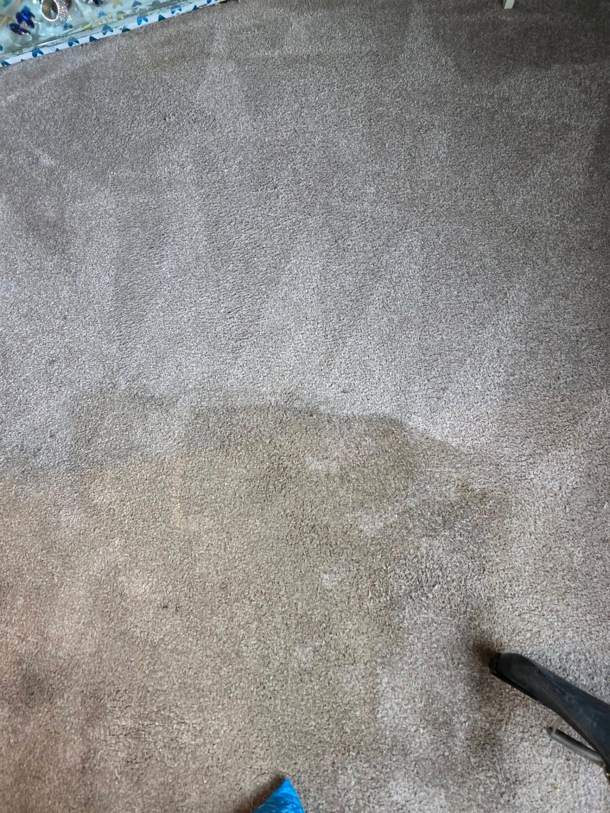 Beige carpet showing half cleaned and half dirty during professional carpet cleaning
