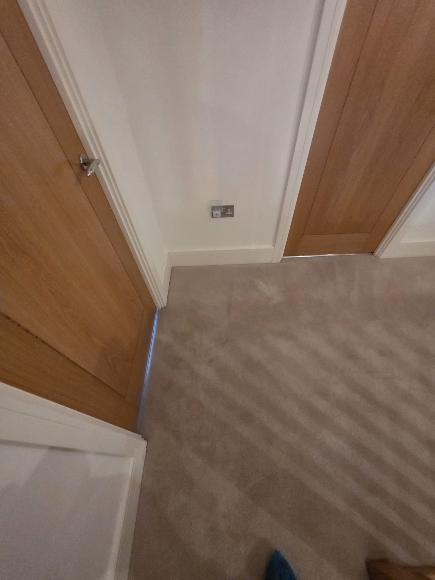 Hallway carpet freshly cleaned with visible extraction lines near oak doors