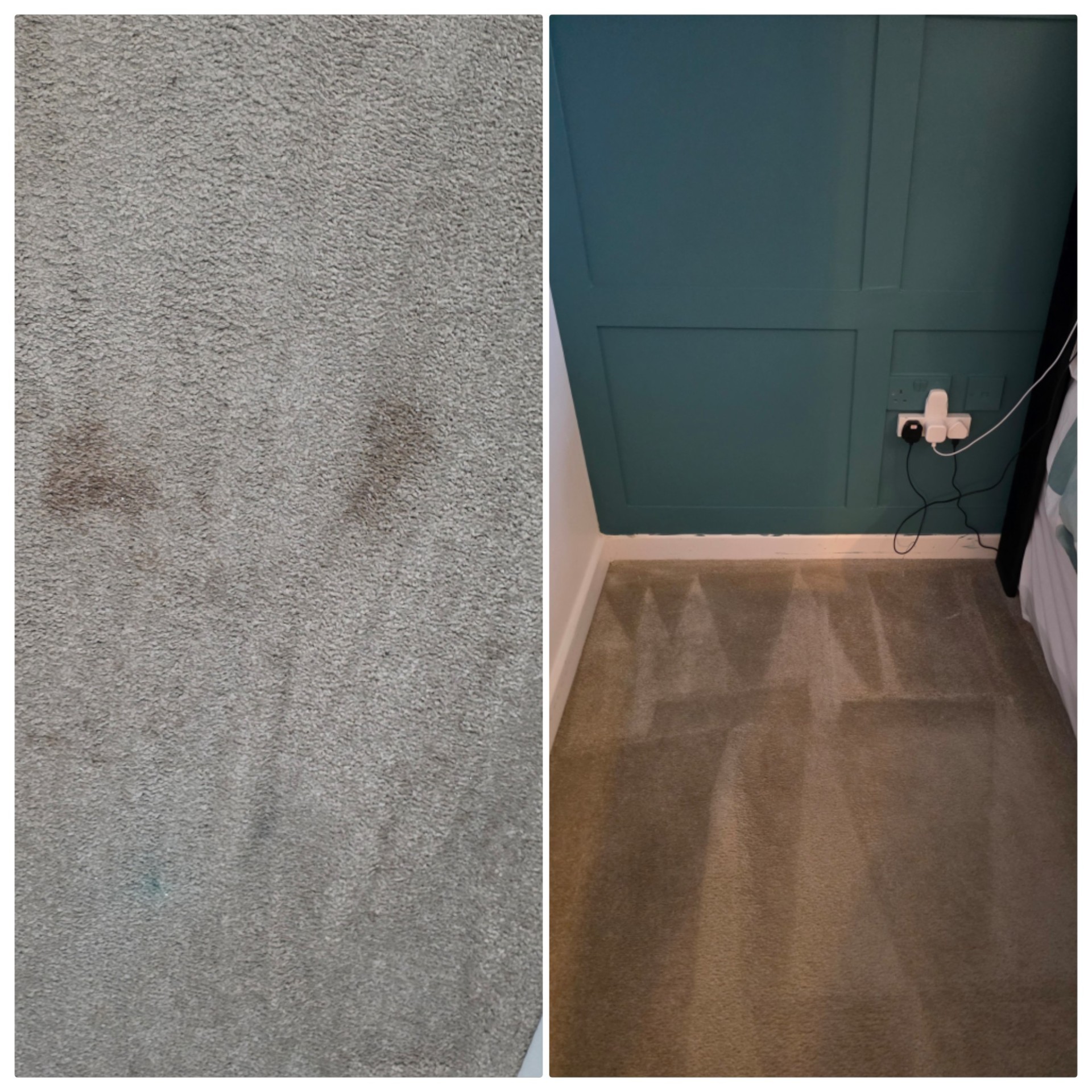 Multiple carpet stains before and after hot water extraction treatment