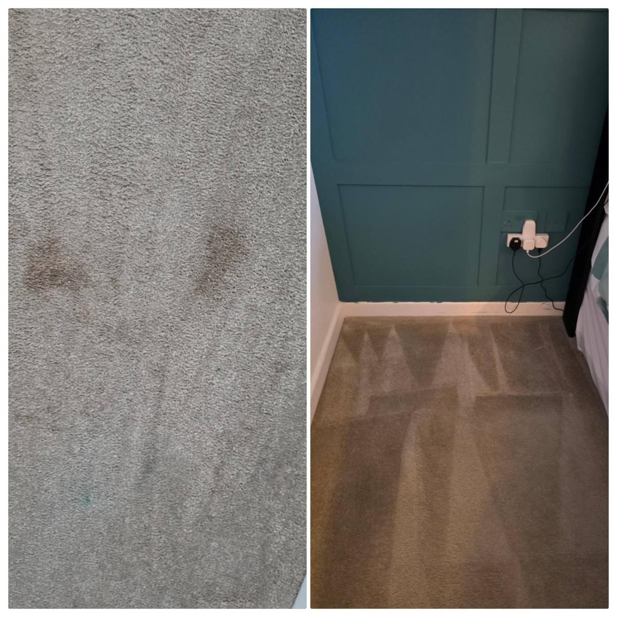 Carpet stain and odour treatment before cleaning