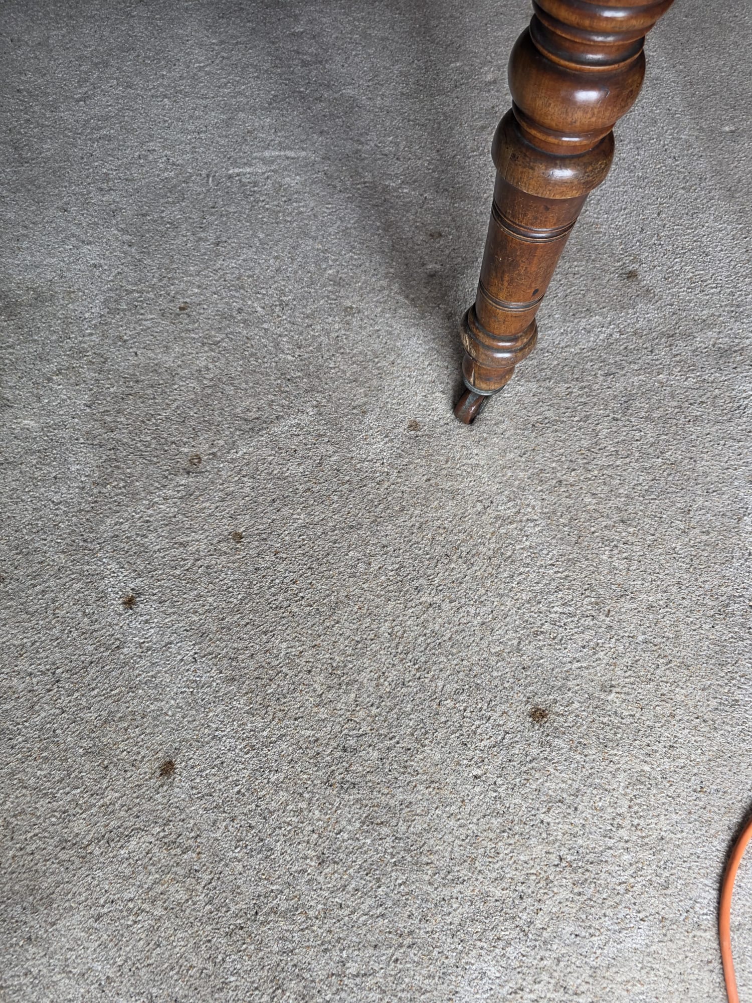 Living room carpet cleaned around furniture with embedded dirt removed