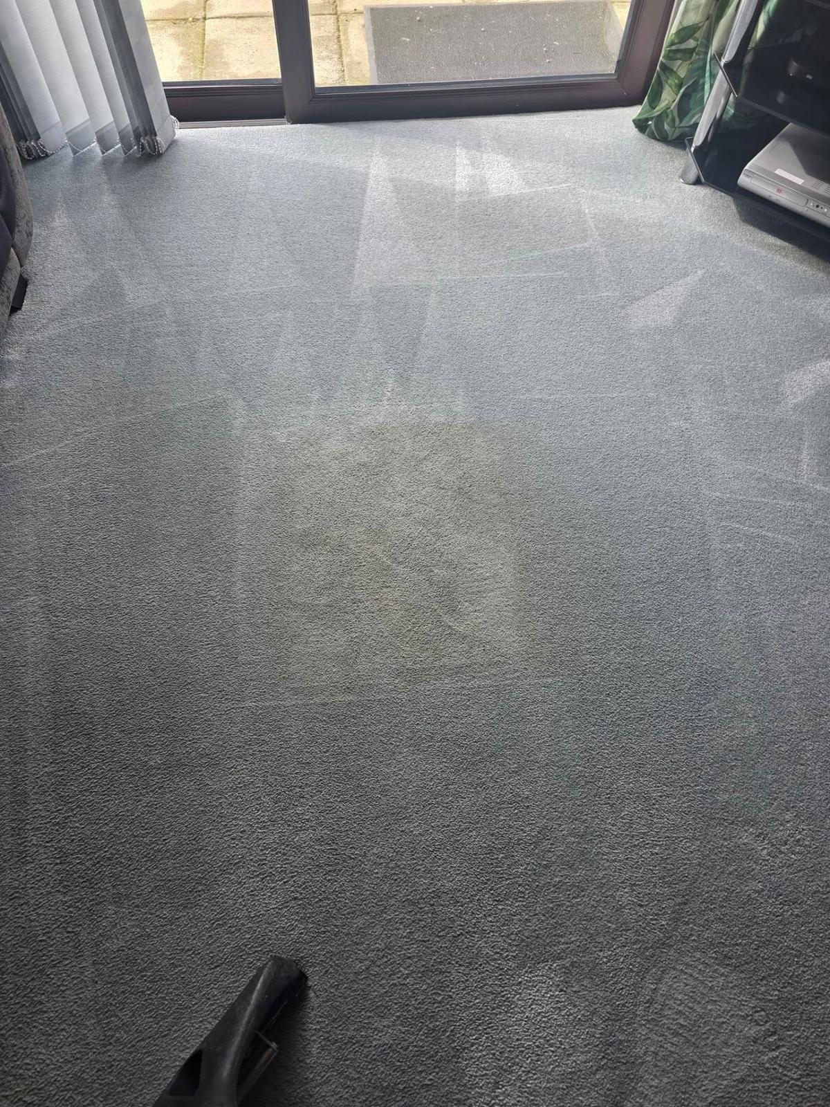 Lounge carpet restored to original colour after professional hot water extraction