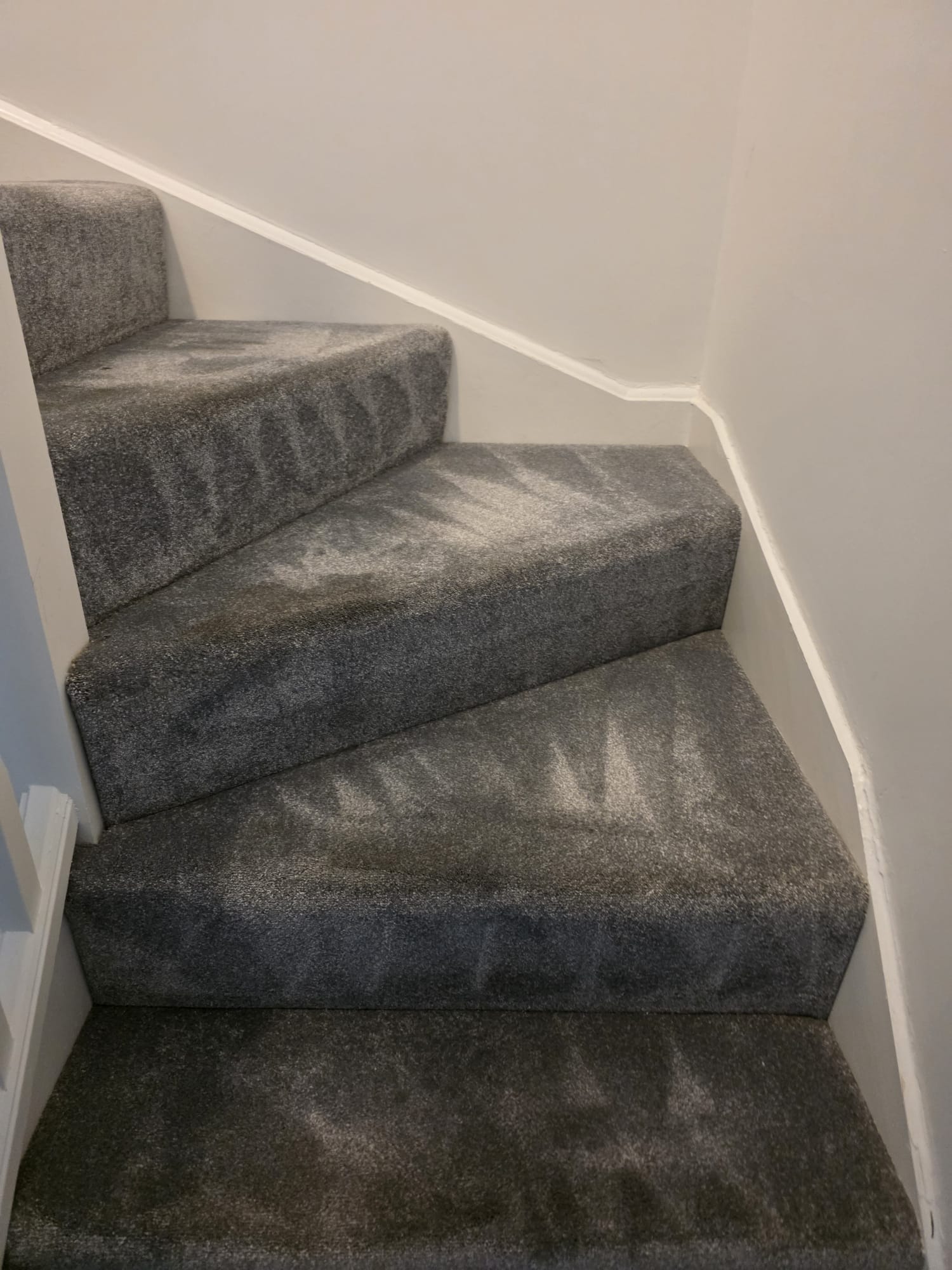 Grey staircase carpet professionally cleaned with visible tramline results